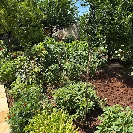 Harmony Apartamento